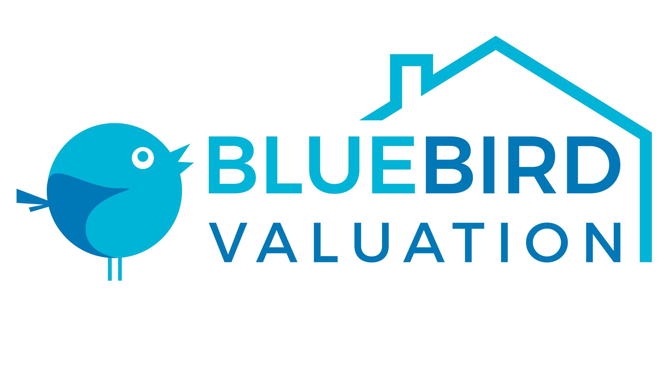 BlueBird Valuation