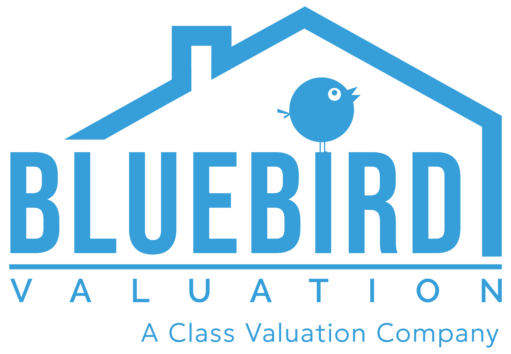 BlueBird Valuation